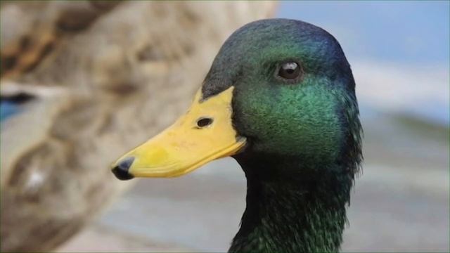 Minecraft, But There Are OP Structures...... смотреть онлайн