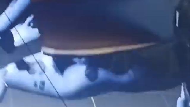 Crazy Frog Racer (Rare Development Footage) смотреть онлайн