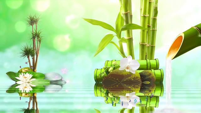 Floating Relaxation Beautiful Piano (3 Hours) смотреть онлайн