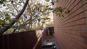 VLOG Спасаю реборна