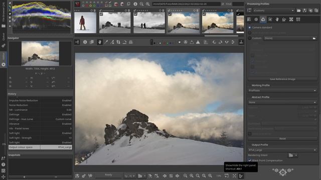 Raw Therapee & GIMP Tutorial | How To Edit Photos On Linux, The Free & Easy Way. Beginner Friendly. смотреть онлайн