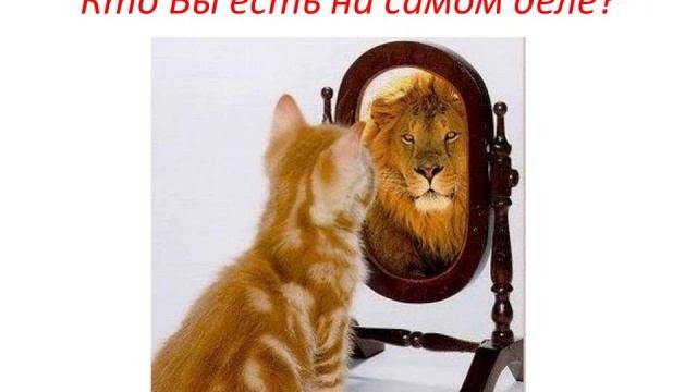 Кем вы на самом деле являетесь и чего вы хотите? смотреть онлайн