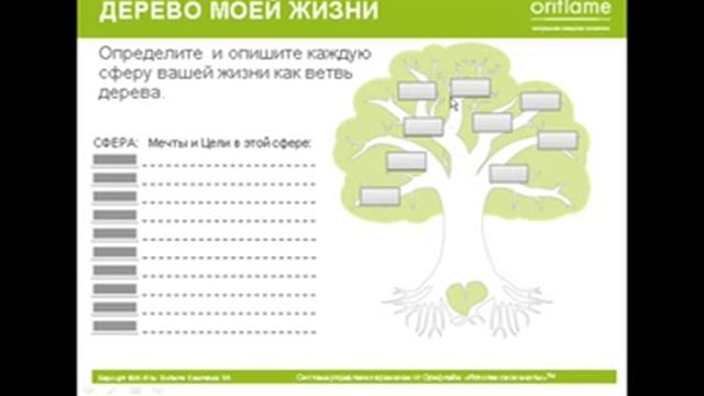 SB 1  Mechty I Tseli