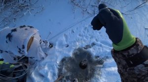 Рыбалка на хапугу зимой или как поймать мешок рыбы на поплавок! Караси долбят как из пулемета.