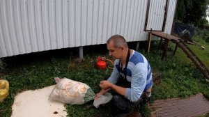 ?АГРЕССИВНЫЕ ИНДЮКИ / ТАКОГО У НАС ЕЩЁ НЕ БЫЛО! / ВЕС ИНДЮКА В 5 МЕСЯЦЕВ / ЗАБОЙ ИНДЮКОВ