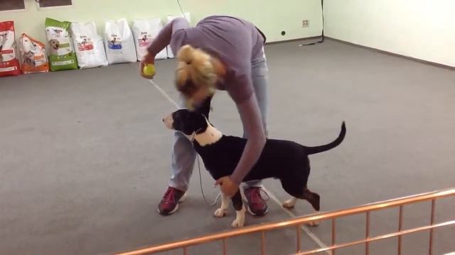 video 1542128823 смотреть онлайн