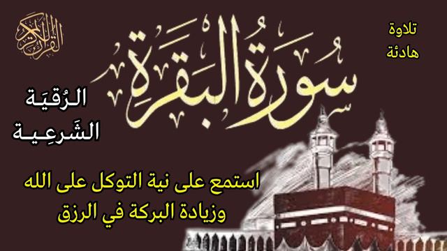 تلاوة مباركة خاشعة | سورة البقرة بصوت جميل جدا | طرد الشياطين وجلب البركة وزيادة الرزق بإذن الله смотреть онлайн