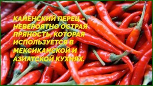 Помощь продуктов в борьбе с глистами