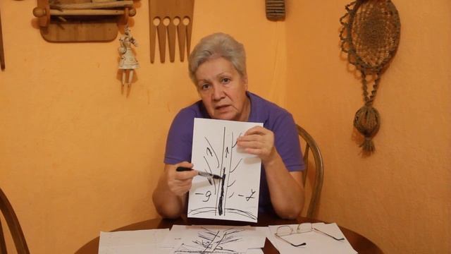 15 Бороздование коры плодовых деревьев смотреть онлайн