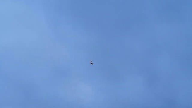Модель самолета ЛК-850 для Ильи / ALNADO смотреть онлайн