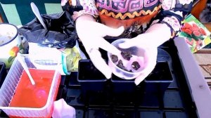 Анемоны (ветреница) -  посадка клубней