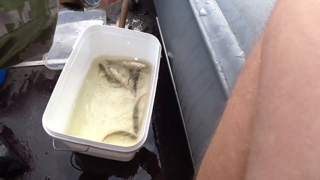 Ловля с лодки на Зимнюю Удочку\Окунь на Удочку \Судак на Дорожку\Рыбалка на ЖЕРЛИЦЫ из бутылок\ смотреть онлайн