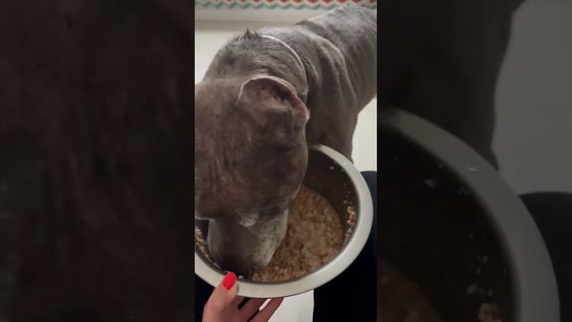 Игнат смотреть онлайн