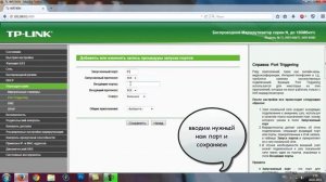Как пробросить порты в TP-LINK