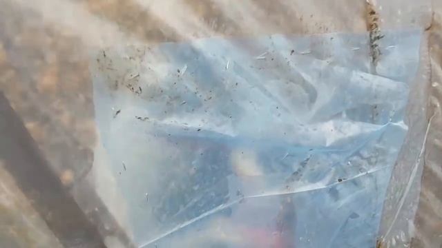 Как залатать боковые дырки в плёночной теплице. Три интересных способа. Спасибо детям??? смотреть онлайн