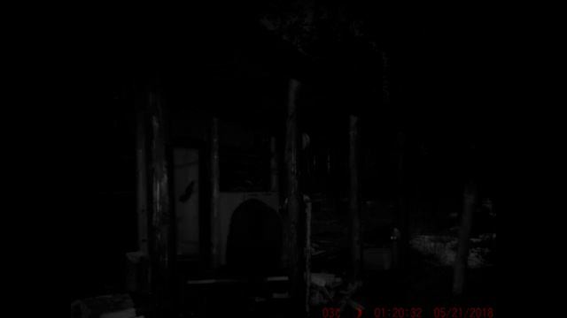 Сабунские истории. Часть вторая.Какая тайга без медведей? смотреть онлайн