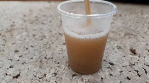 Обработка пеларгоний (Teppeki) от белокрылки .