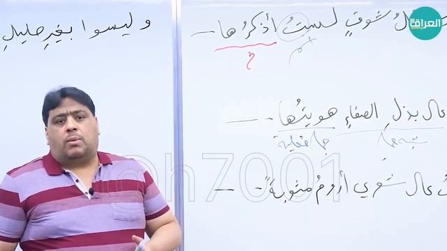 اسلوب النفي || عقيل الزبيدي || المحاضرة ⦉ 2 ⦊ смотреть онлайн