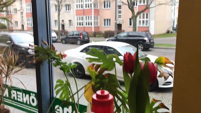 День супа в Берлине!)) смотреть онлайн