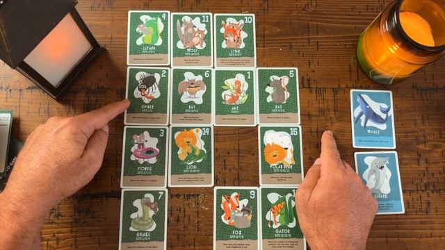 Food Chain Island - A Solo Card Game смотреть онлайн