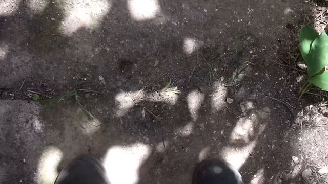 В Доме На Юге убрался по фэншую смотреть онлайн