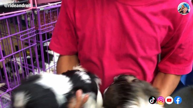 KAGANAPAN NGAYON SA ARRANQUE | FEBRUARY 29, 2024 смотреть онлайн