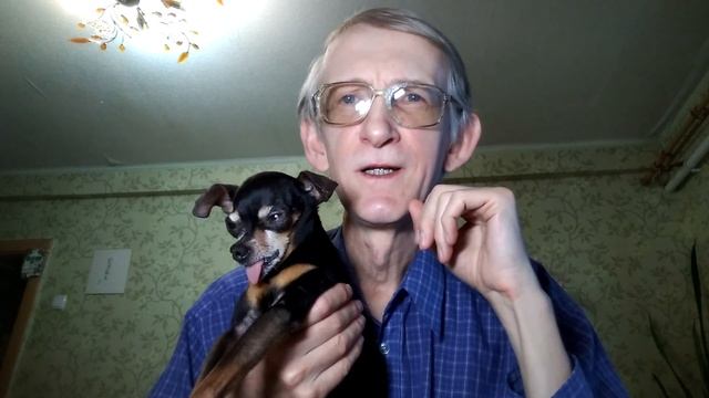 Какие Насекомые Живут у Вас в Доме? Мушки? Чем Помочь? Скайп с Подписчиком. смотреть онлайн