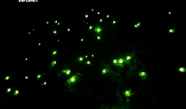 The evolution of the planet. Brazil