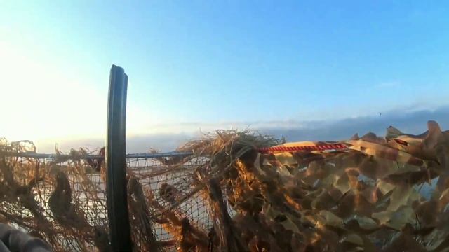 ОТКРЫТИЕ ОХОТЫ НА УТКУ 2022 В НОВОСИБИРСКОЙ ОБЛАСТИ. смотреть онлайн