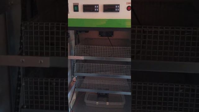 Инкубатор https://zabferma.ru/ NBF/ЦАРЬ ИНКУБАТОРОВ! смотреть онлайн