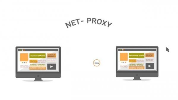 Net-Proxy: A Proxy Translation Management System for Websites