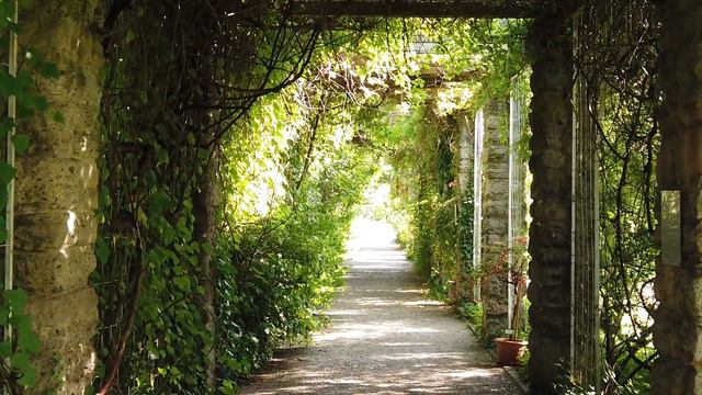 Красивая, приятная инструментальная музыка, поможет поднять настроение и отдохнуть душой.