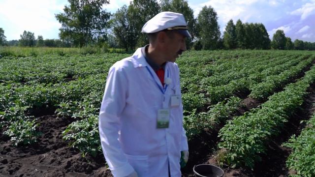 Химия смотреть онлайн