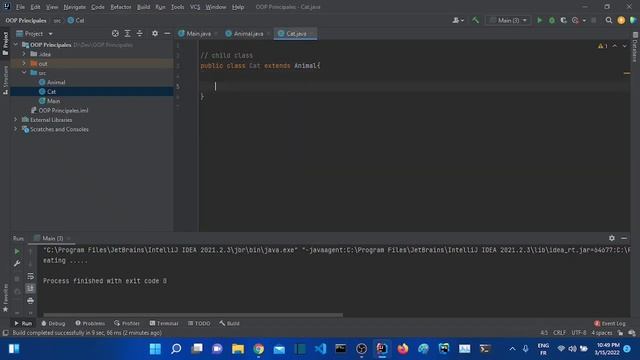Object oriented programming principles in Java смотреть онлайн