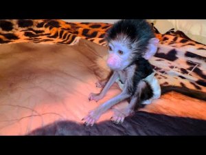 Посмотрите какой прогресс - ЛЮСЬКА БЕГАЕТ