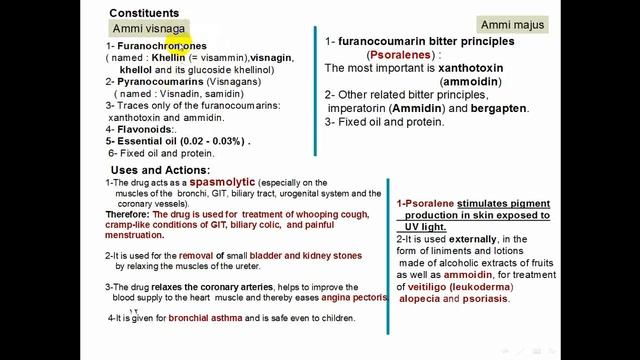 #Ammi Visnaga _and_ Ammi _majus