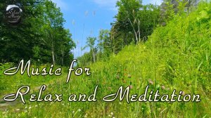 Расслабляющая музыка и звуки природы для снятия стресса, сна, медитации - Красивая музыка для души