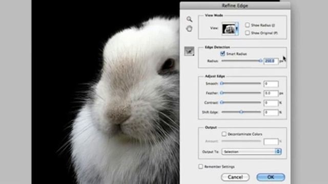 Adobe Photoshop CS5 - Refine Edge Command смотреть онлайн