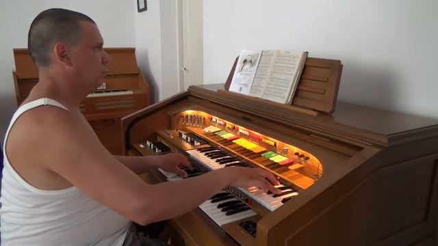 Savannah | Organist Bujor Florin Lucian playing on Elka Artist 707 Organ смотреть онлайн