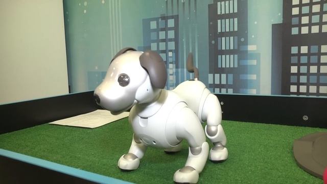 Выставка Роботов в Крейсере смотреть онлайн