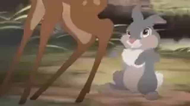 EL LIBRO DE LA SELVA PELÍCULA PARA ADOLESCENTES ESPAÑOL COMPLETA смотреть онлайн