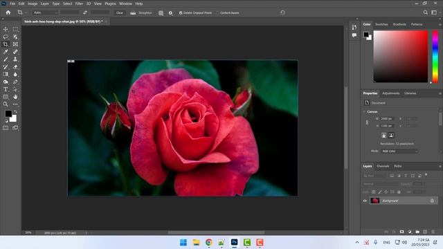 Tự học Photoshop 2023 cho người mới | Bài 10: Cắt xén hình ảnh bằng Crop Tool смотреть онлайн