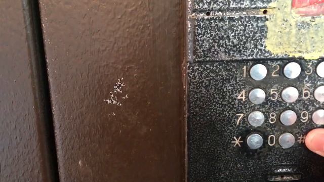 Домофон форвард смотреть онлайн