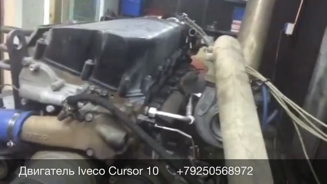 ☎️+79258786089 Viber Whatsapp Контрактный двигатель Iveco Cursor 10 смотреть онлайн