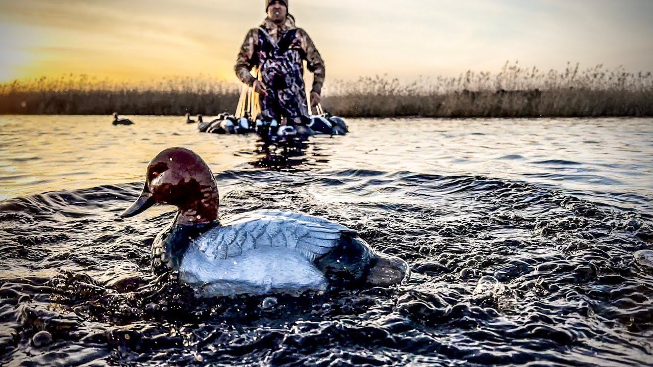 Охота на уток в Сибири 2024 | Красивые налёты и выстрелы смотреть онлайн