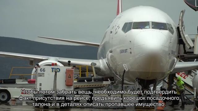 Без паники! Что делать если забыл вещь в самолете смотреть онлайн