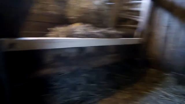 Сарай под переделку для быков смотреть онлайн