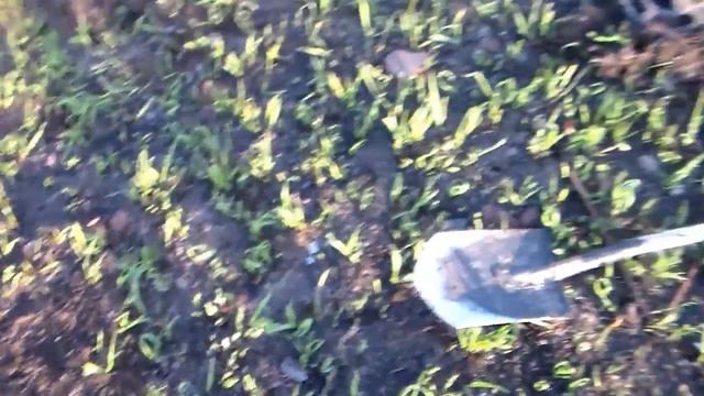 Назад в прошлое...часть 26"Монеты под катушкой" смотреть онлайн