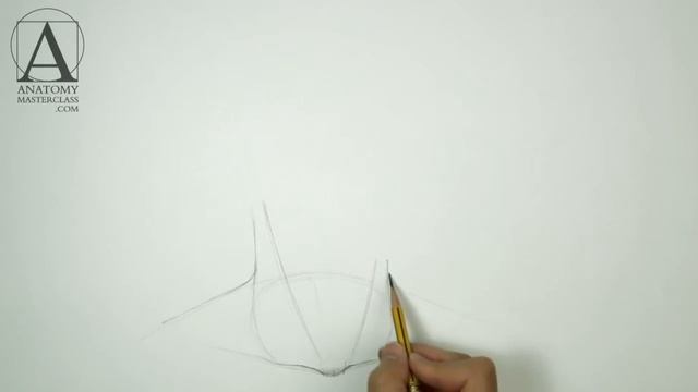 How to Draw a Portrait Anatomy Lesson for Artists смотреть онлайн