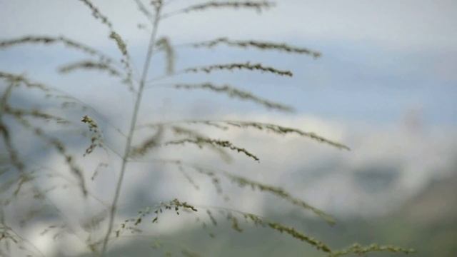 10 мест в Рио де Жанейро, которые стоит посетить смотреть онлайн